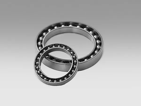 FS Series Flexible Bearings