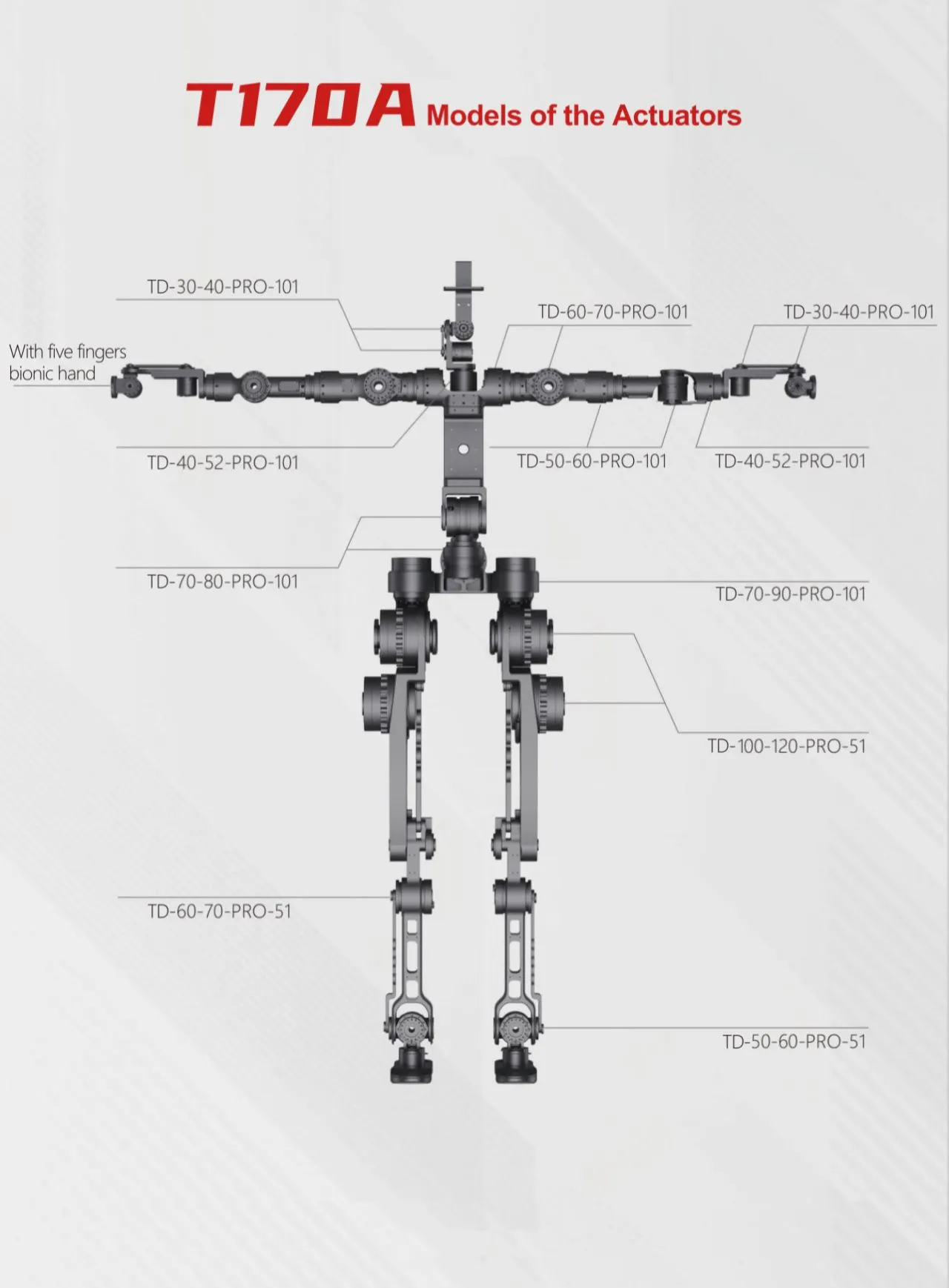 Application of Cross Roller Bearings in Humanoid Robots
