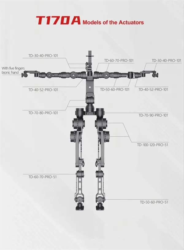 Application characteristics and parts of cross roller bearings in humanoid robots